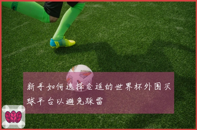 新手如何选择合适的世界杯外围买球平台以避免踩雷