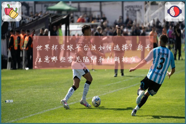 世界杯买球平台该如何选择？新手注意哪些常见陷阱和判断标准