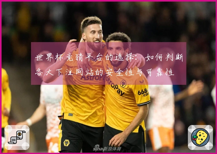 世界杯竞猜平台的选择:如何判断各大下注网站的安全性与可靠性