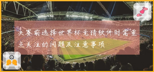 决赛前选择世界杯竞猜软件时需重点关注的问题及注意事项
