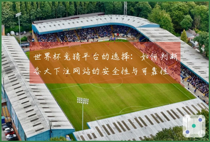 世界杯竞猜平台的选择：如何判断各大下注网站的安全性与可靠性